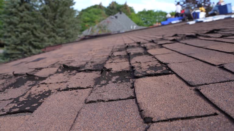 Best Steel Roofing  in Taft Mosswood, CA